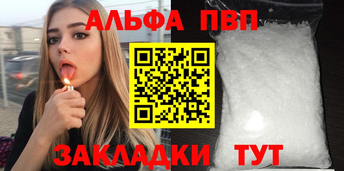 Alfa_PVP СК КРИС Черкесск
