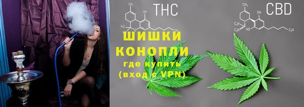 PSILOCYBIN Медногорск
