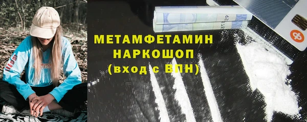 прущие грибы Михайловск