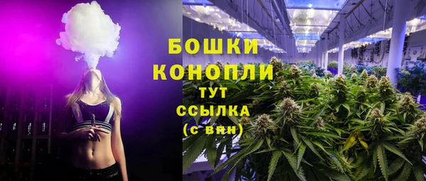 прущие грибы Михайловск