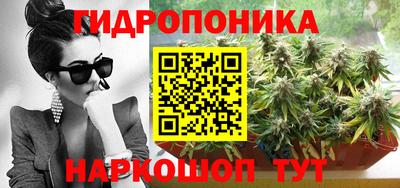 трава Кингисепп
