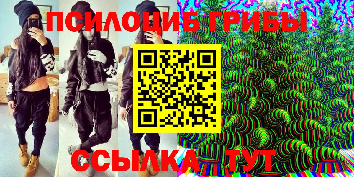 Галлюциногенные грибы Cubensis  Вход с VPN  Псилоцибиновые грибы прущие грибы  Черкесск 