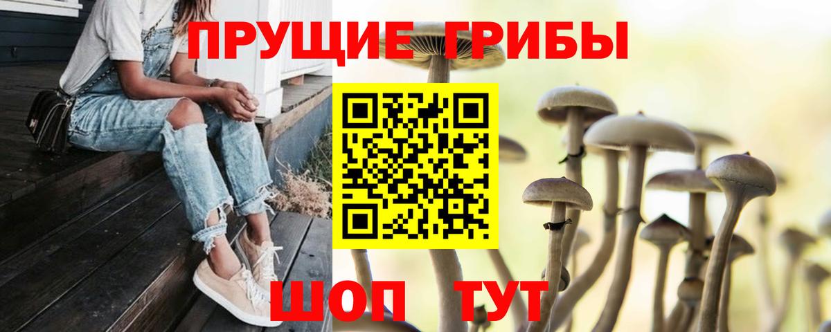 Галлюциногенные грибы мухоморы Черкесск