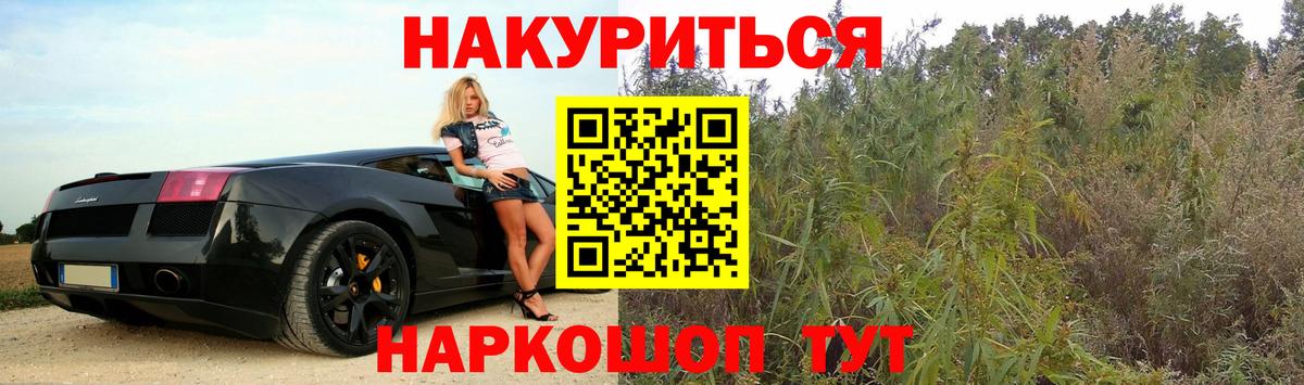 Бошки Шишки Bruce Banner  Вход с VPN  Марихуана OG Kush  Черкесск  МАРИХУАНА Amnesia  Канабис Amnesia 